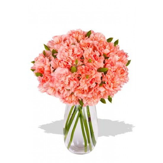 Carnation Bouquet