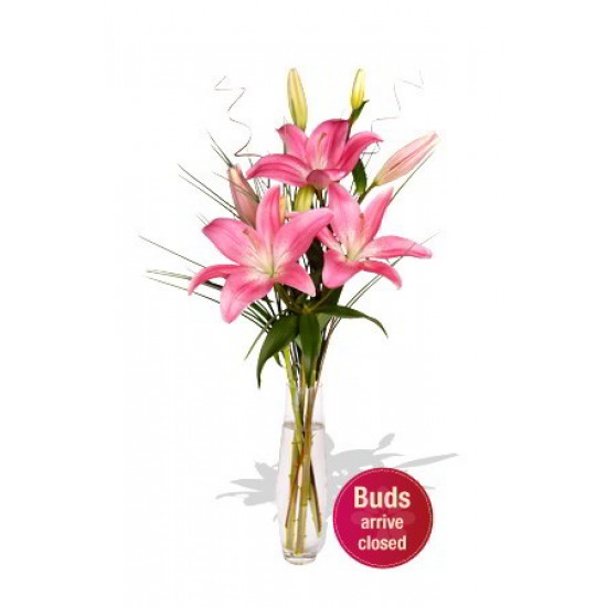 2 Asiatic Lily Vase Bouquet